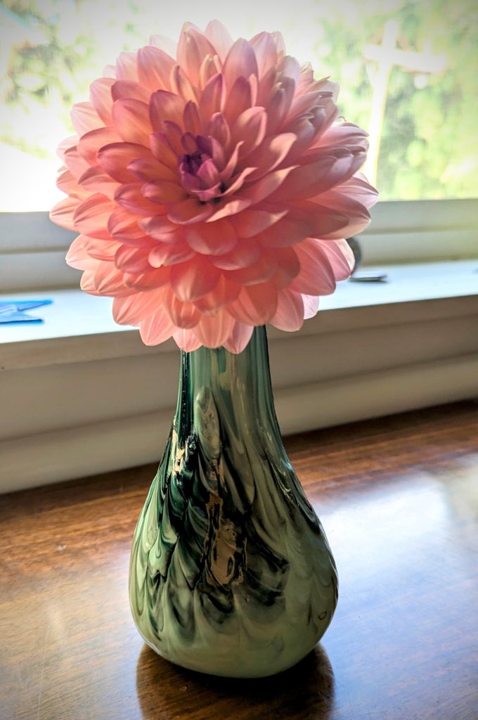 Pink Dahlia in green bud vase